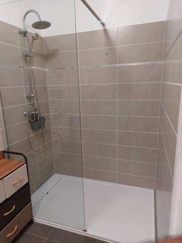 une douche avec une porte vitrée dans une salle de bain dans l'établissement LES APPARTS DU VALINCO - CORSE DU SUD, à Propriano