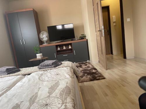 a bedroom with a bed and a flat screen tv at Garzon/ Studio apartment in Šahy