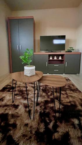a living room with a table and a tv at Garzon/ Studio apartment in Šahy