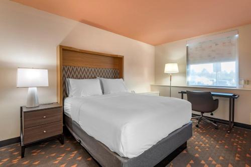 a bedroom with a bed and a desk and a chair at Holiday Inn Bangor by IHG in Bangor