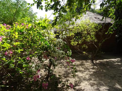 a garden with pink flowers and a building at Kansala Ta Toto in Kafountine