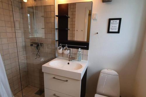 y baño con lavabo, ducha y aseo. en Nice and cozy flat en Nuuk