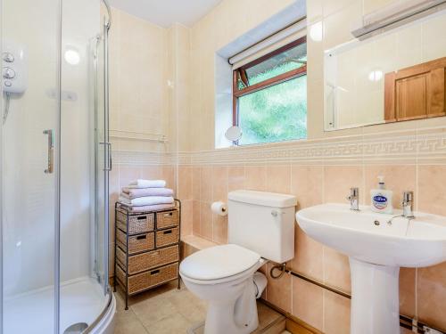 a bathroom with a toilet and a sink and a shower at Llety Nest in Llanfachreth