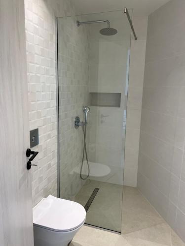 a bathroom with a toilet and a glass shower at Hotel Kathrin Beach in Adelianos Kampos
