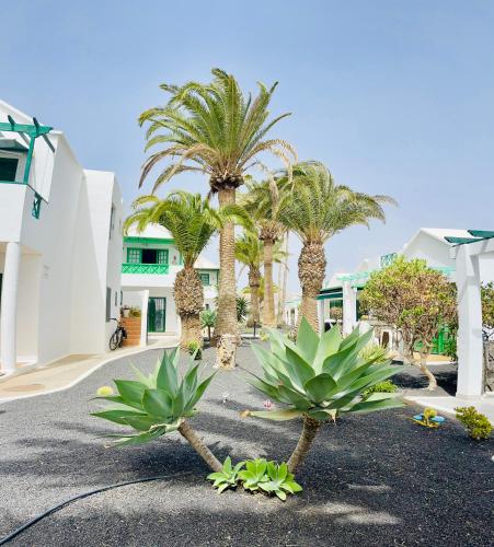 APARTAMENTO SAN FERMINO