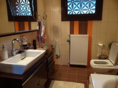 a bathroom with a sink and a toilet at Villa Ria 