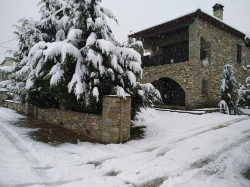 a snow covered tree in front of a building at Villa Ria in Flámbouron
