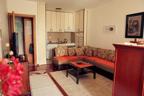 uma sala de estar com um sofá e uma cozinha em Studio Apartment Nika Anđusa em Petrovac na Moru