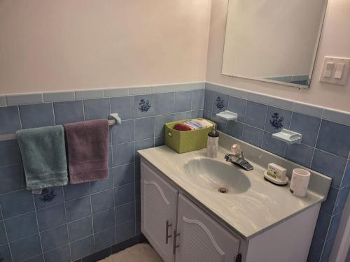 uma casa de banho com lavatório, espelho e toalhas em QUIET Appartment near Montreal CITQ 3O9764 em Longueuil