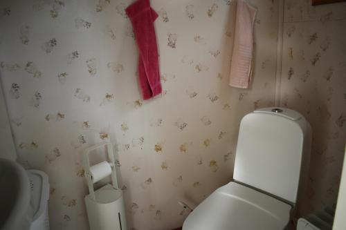 ein Bad mit einem WC und rosa Handtüchern an der Wand in der Unterkunft Nice holiday home in Hokensas nature reserve in Tidaholm