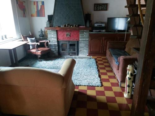特鎮的住宿－Vakantiehuis Ardennen les Forges, Chevron，带沙发和壁炉的客厅