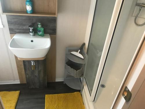 a bathroom with a sink and a shower at Flamingo Land Private Caravan - No 8 Cedarwood in Kirby Misperton