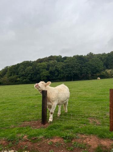 The Shepherd’s Nest photo 10
