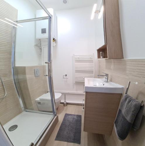 une salle de bain avec une douche, un lavabo et des toilettes dans l'établissement Cosy Studio au coeur de Rouen, à Rouen