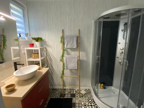 La salle de bains est pourvue d'une douche, d'un lavabo et d'une baignoire. dans l'établissement Belle Chambre Privée - Sdb - cuisine partagée - Wifi - Jardin, à Wissembourg