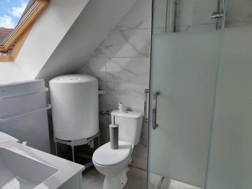 a bathroom with a toilet and a glass shower at Les Lofts De Provins: Apt 6 in Provins