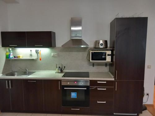 una cocina con microondas y estufa horno superior en Apartmán Nad Kolonádou, en Karlovy Vary
