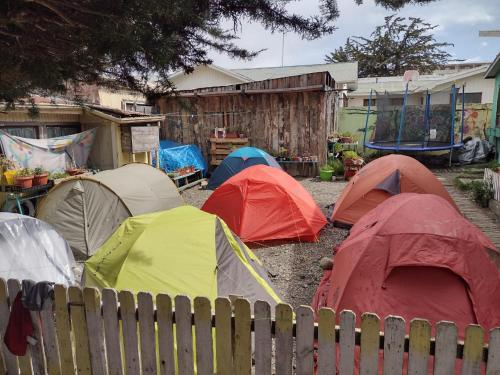 un groupe de tentes dans une cour à côté d'une clôture dans l'établissement Hospedaje Independencia y camping, à Punta Arenas