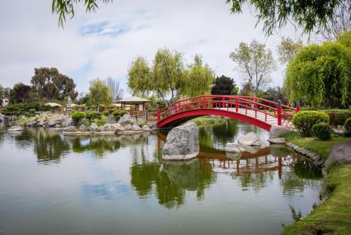 Φυσικό τοπίο κοντά σε αυτό το διαμέρισμα