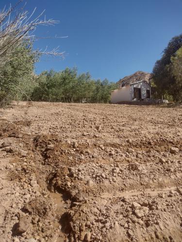 an empty field with a house in the background at Dormir con llamas in Maimará
