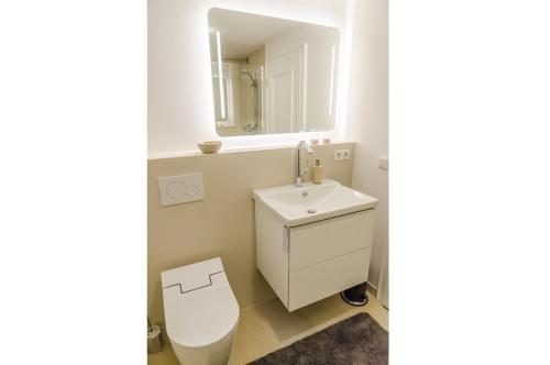 W łazience znajduje się toaleta, umywalka i lustro. w obiekcie SönsStern App 1 w mieście Munkmarsch