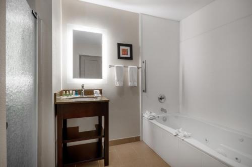 a bathroom with a sink and a tub and a mirror at Holiday Inn Poughkeepsie, an IHG Hotel in Poughkeepsie