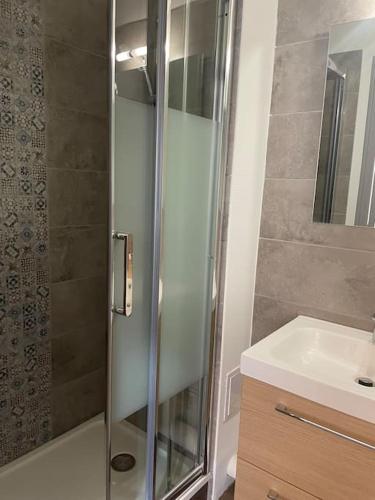 une douche avec une porte vitrée à côté d'un lavabo dans l'établissement T2 4 pers face gare SNCF Appart Hotel le Cygne 3, à Bourges