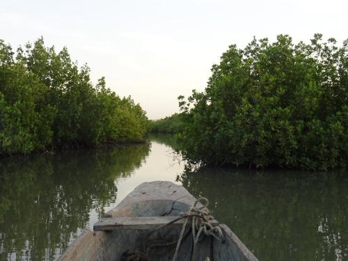 a boat on a river with trees on the sides at Kansala Ta Toto in Kafountine