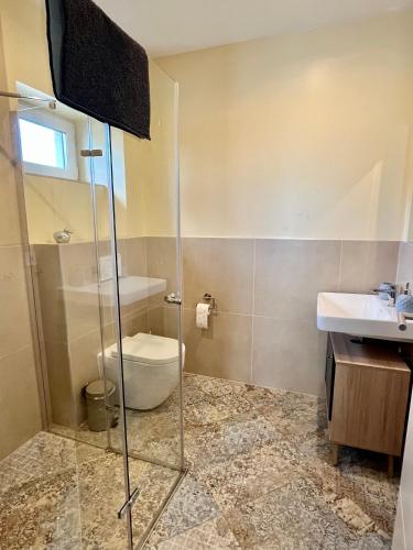 a bathroom with a shower and a toilet and a sink at Gasthaus am Henriettenhof in Grömitz