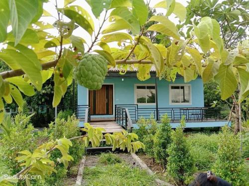 a house with a mango tree in front of it at HaiVen Farm Homestay in Phumĭ Khŭn Réam
