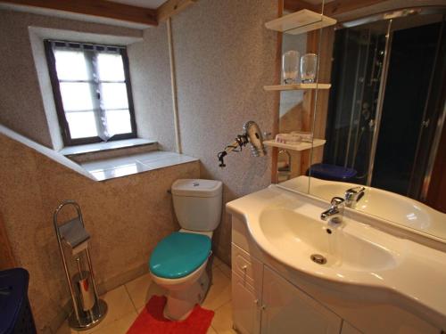 une salle de bain avec toilettes, lavabo et fenêtre dans l'établissement Charmant gîte avec terrasse, WiFi et garage moto à Gérardmer - FR-1-589-133, à Gérardmer