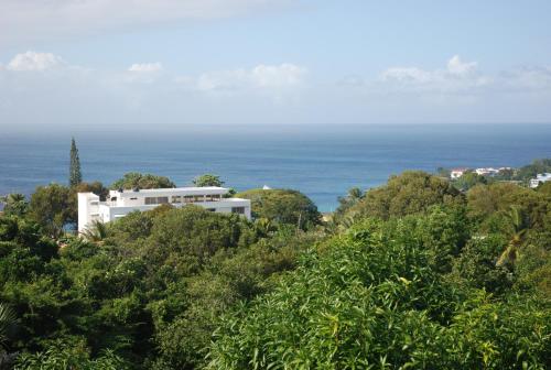 a house on a hill with the ocean in the background at E&J Boutique Residences in Sosúa