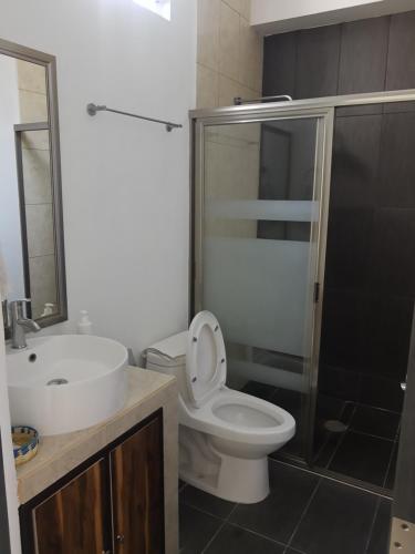 een badkamer met een toilet, een wastafel en een douche bij HB Alebrijes SC in Lachiraguigú