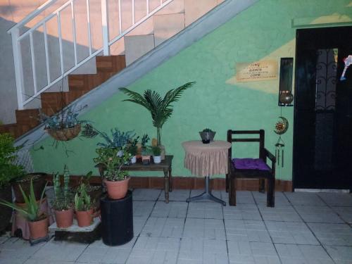 a room with a table and potted plants and a staircase at Nirvana Hermosa habitación individual e independiente in Guatemala
