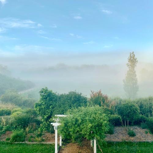 a view of a field with trees and fog at Tracy's Boutique B&B Farmstay in Wellsford