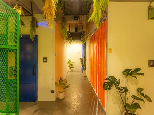 a hallway with potted plants and a blue door at Khao San Social Capsule Hostel in Bangkok