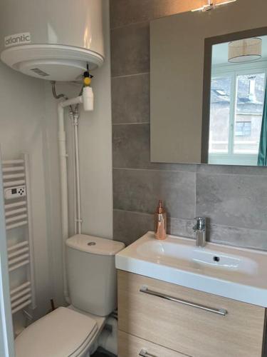 une salle de bain avec toilettes, lavabo et miroir dans l'établissement T2 4 pers face gare SNCF Appart Hotel le Cygne 5, à Bourges