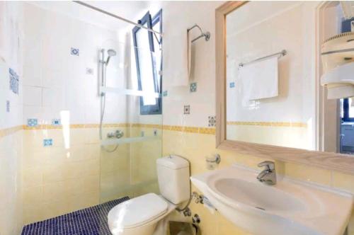 a bathroom with a toilet and a sink and a mirror at Blue Haven Beach Loft Apartment in Danilia