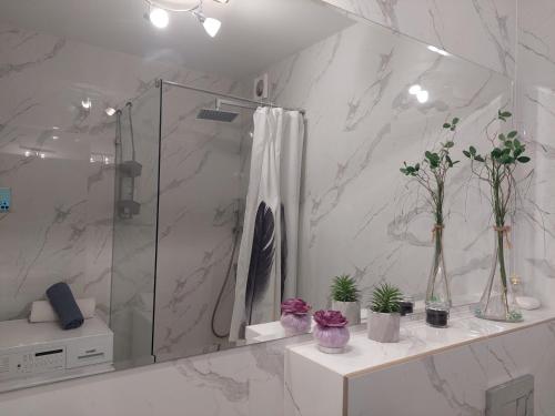 a bathroom with a shower with plants on a counter at центр елітновобуд Яровиця 11 in Lutsk