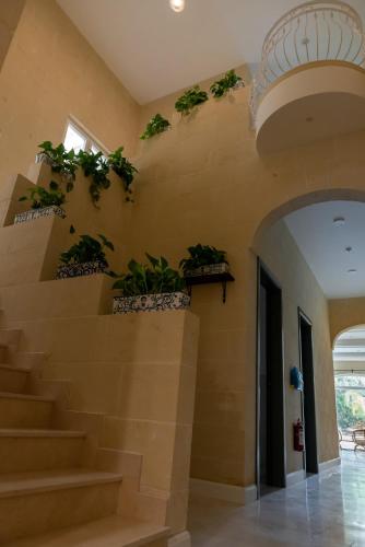 a staircase with potted plants on the wall at The Carob Tree in Victoria