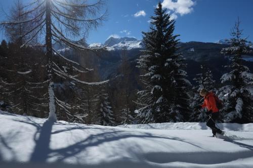 a man on skis in the snow on a mountain at Historic Hotel Ristorante La Stua in Cavalese