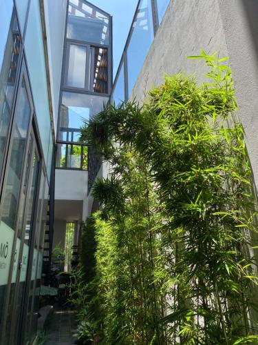 a building with plants on the side of it at Mỡ homestay Cao Bằng in Cao Bằng