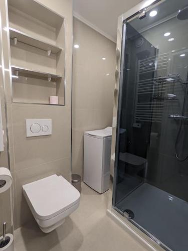 une salle de bain avec toilettes et douche en verre dans l'établissement Bel appartement gare/centre-ville de Grenoble, à Grenoble