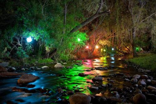 a creek at night with green lights on it at Cango Retreat Quiet in Oudtshoorn