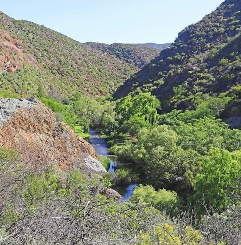 a river in the middle of a mountain with trees at Cango Retreat Quiet in Oudtshoorn