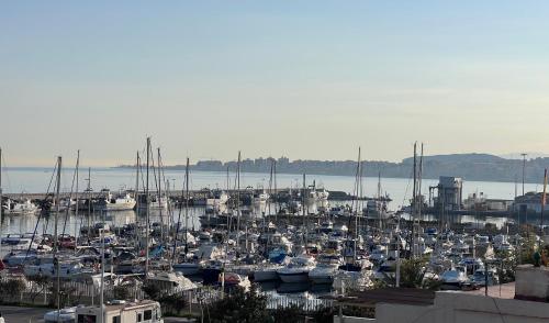 a bunch of boats docked in a harbor at APARTAMENTOS LA CALETA in Caleta De Velez