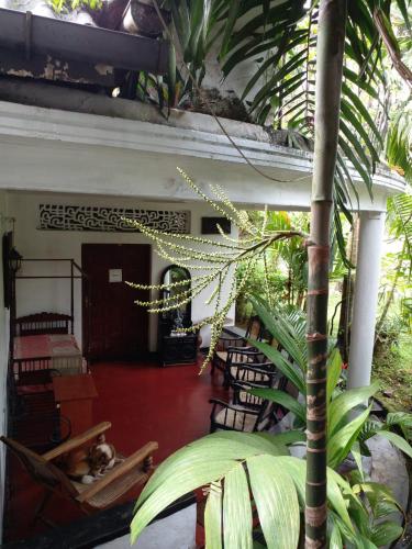 a room with chairs and a red floor with plants at Traditional Kandyan House in Kandy