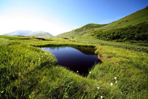 a small pond in the middle of a grassy field at Yuzawa Ski House in Yuzawa