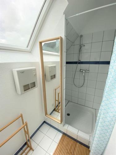 une salle de bain avec douche et miroir dans l'établissement Logement de charme au coeur de la nature, à Osenbach