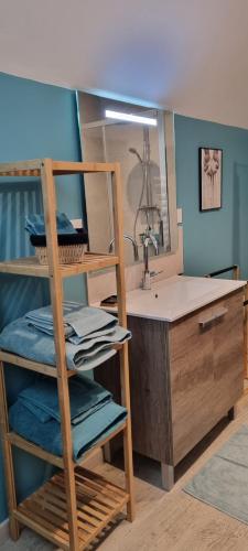 a bathroom with a sink and a shelf with towels at Au Nid des Champs, Agréable chambre d'hôtes avec jacuzzi sur demande, proche de Chartres in Chartres